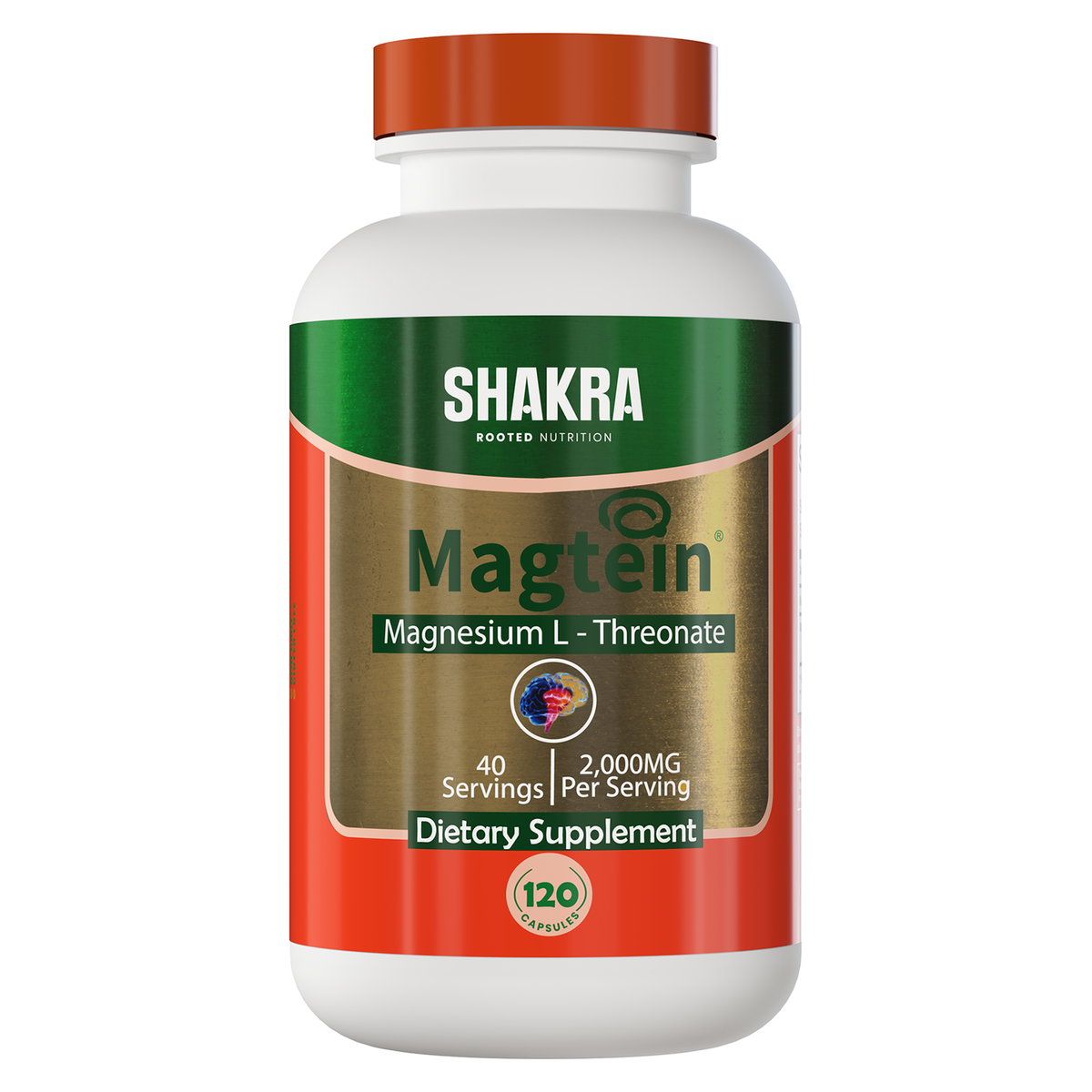 MAGTEIN