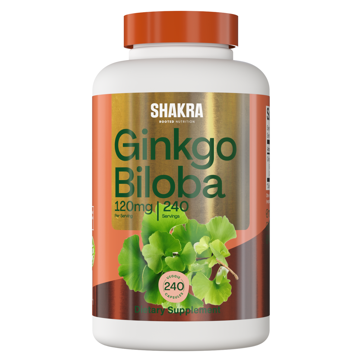 Ginkgo Biloba 120 mg 240 Capsulas