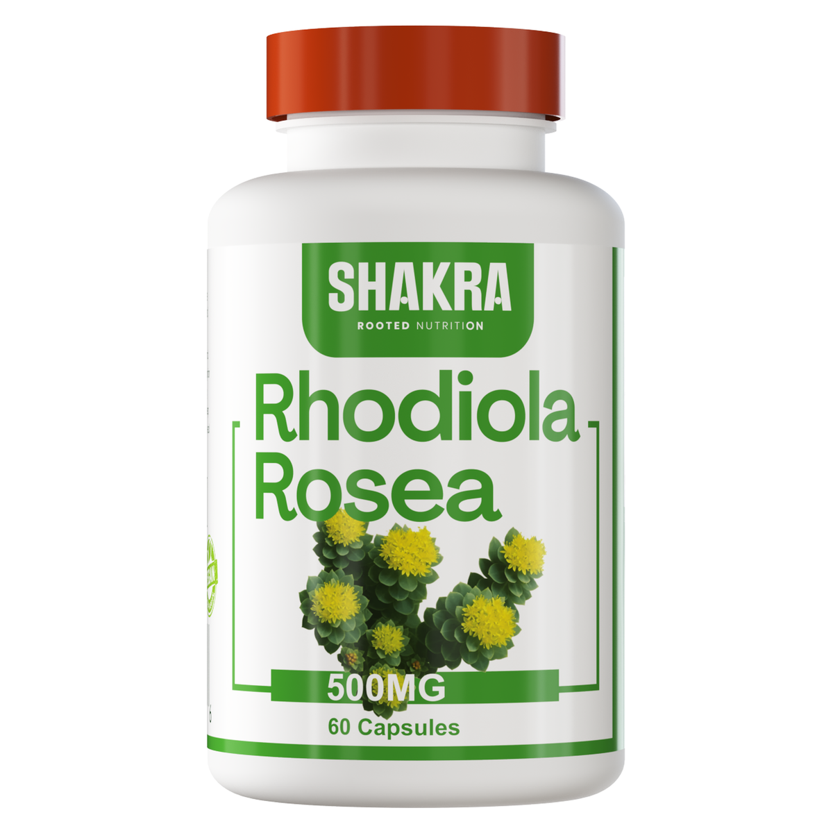 RHODIOLA ROSEA